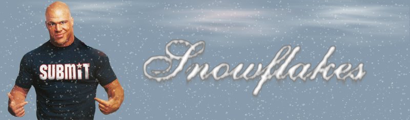 snowflakesbanner.jpg
