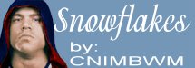 snowflakestag.jpg